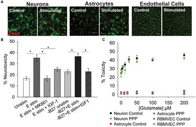 Insulin-Like Growth Factor-1 Differentially Modulates Glutamate-Induced Toxicity and Stress in Cells of the Neurogliovascular Unit